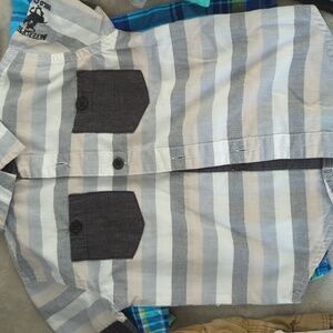 12 month polo